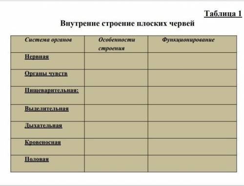Внутрение строение плоских червей​