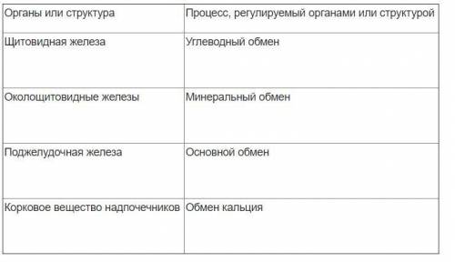 Обмен веществ и энергии, теплообмен Маленькая табличка