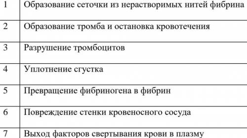 Расставить по порядку этапы свёртываемости крови