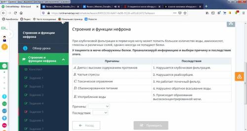 Биология строение и функции нефрона