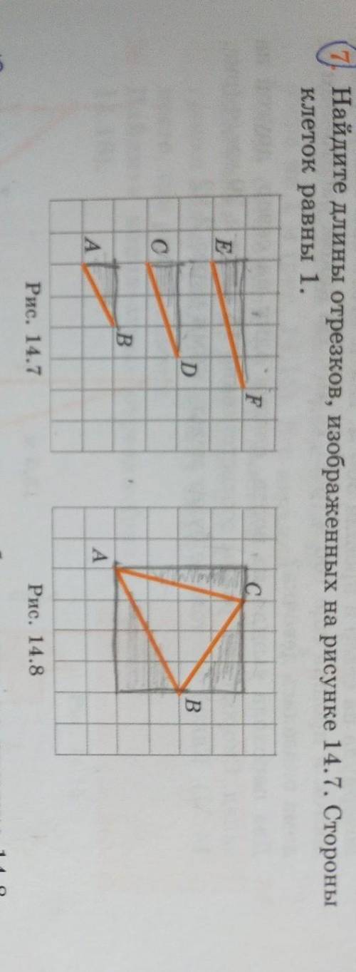 если что гиометрия 8 класс​