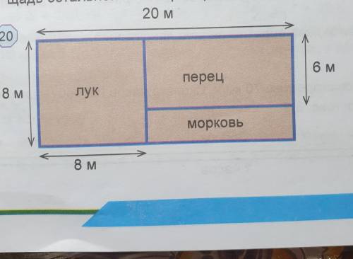 Найдите площадь каждого участка в соответствии с планом сада на рис.20 Нужно