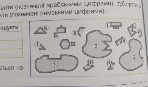 У відповідність ферменти (позначені арабськими цифрами), субстрати (позначені літерами) та продукти