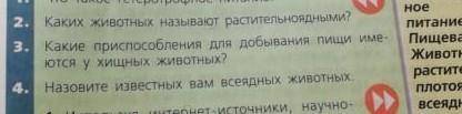 1)Каких животных называют растительноядными ? 2) Какие при для добывания пищи имеются у хищных живот