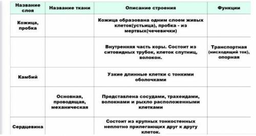 я не чего тут не понимаю, уже час не могу сделать дз надо заполнить таблицу