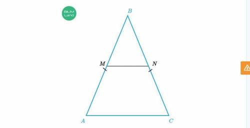 В равнобедренном треугольнике ABC длина боковой стороны равна 23 см, а средней линии MN – 12 см.