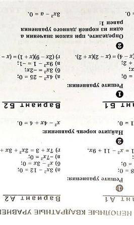 с алгеброй. все задания справа​