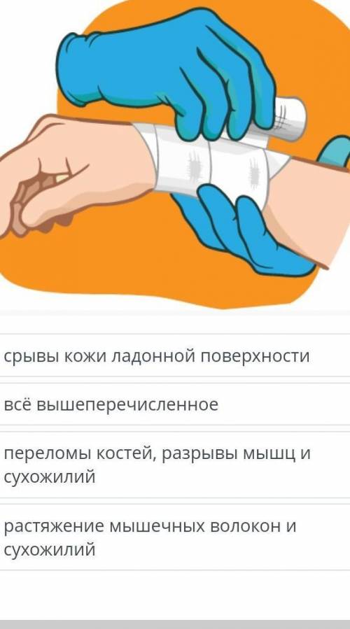 2-АЯ ПОДГРУППА НазадТЕХНИКА БЕЗОПАСНОСТИ НА УРОКАХ ГИМНАСТИКИ. ОСАНКА И ГИМНАСТИКАУРОКВИДЕОКОНФЕРЕНЦ