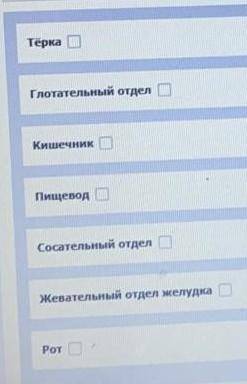 Вставьте пропущенные слова:... - Глотка- Желудок... - Анальное отверстие​