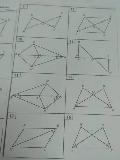 решить геометрию 9,12,13,15​