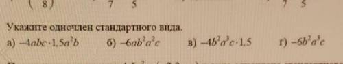 Укажите многочлен стандартного вида.​