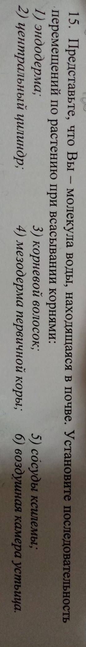 представьте, что вы молекула воды, находящаяся в почве. Установите последовательность перемещений по