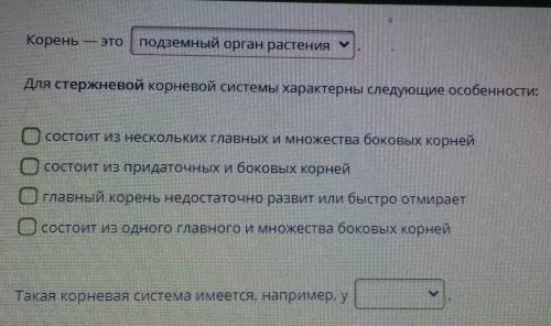 Такая корневая система имеется у внизу есть вопрос