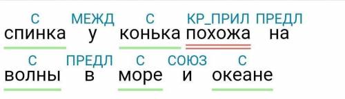 Спинка у конька похожа на волны в море и океане .синтактическиц разбор