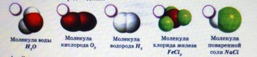 Определите порядковый номер, заряд ядра, массовое число, количество протонов, электронов и нейтронов