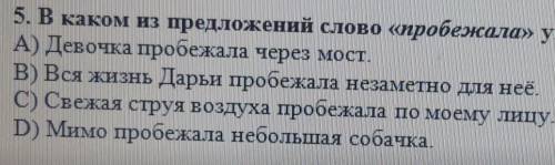 5. В каком из предложений слово «пробежала» употреблено как метафора? A) Девочка пробежала через мос