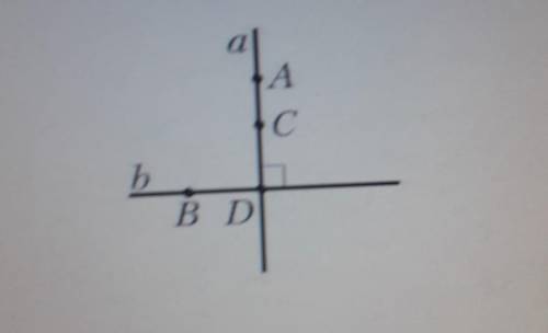 Прямые a и b перпендикулярны. укажите пары перпендикулярных отрезков,изображённых на рисунке пажайлу