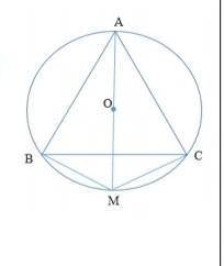 Адание 1. На окружности с центром О отмечены точки А, В, С такие, что АВ = ВС = СА. Отрезок АМ – диа