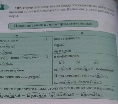 Памагите 187. Изучите внимательно схему. Расскажите по ней о правописании н, нн в прилагательных. Вк