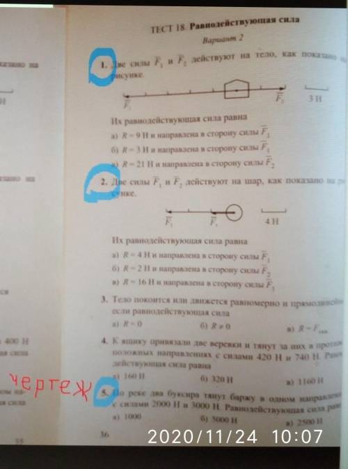 ПИПЕЦ КАК ФИЗИКАБРАТАНЫ УЧЧЕНЫЕ