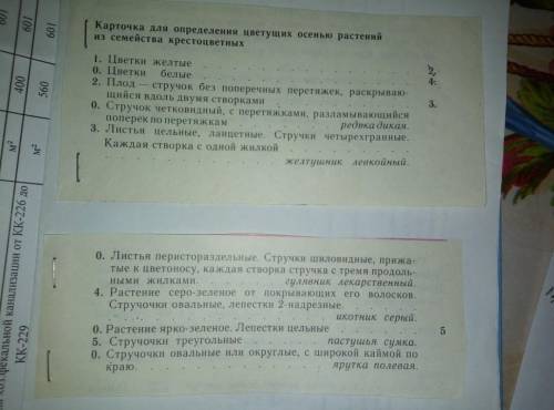 с биологией Как я поняла, то должно быть так : теза 1 , теза 2 Просто вообще не понятно как делать.