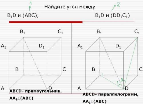 по математике ABCD - прямоугольник AA1 перпендикулярно (ABC) Найти угол между B1D;(АВС)