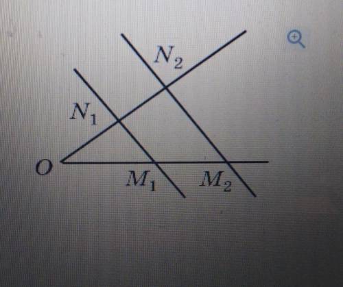 На малюнку m1n1 паралельно m2n2, ON=N1N2, OM2=16CM.знайдіть нужно контрошу к вечеру зделать​