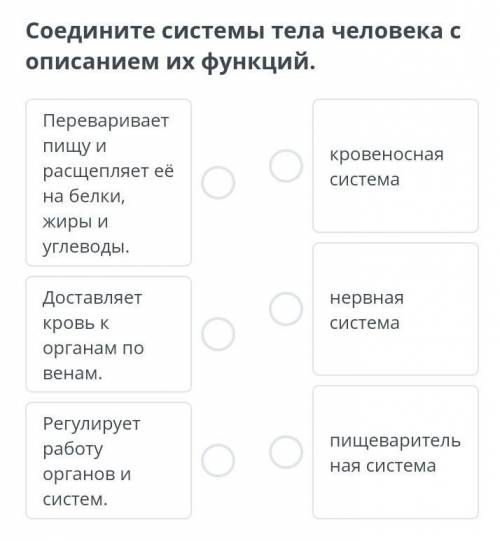 Соедините системы тела человека с описанием их функций. ​