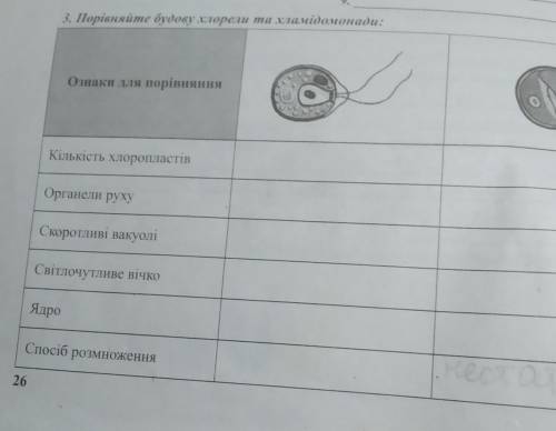 3. Порівняйте будову хлорели та хламідомонади​
