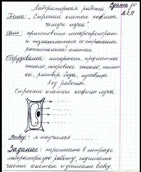 в 7 в школу на вас последняя надежда!​