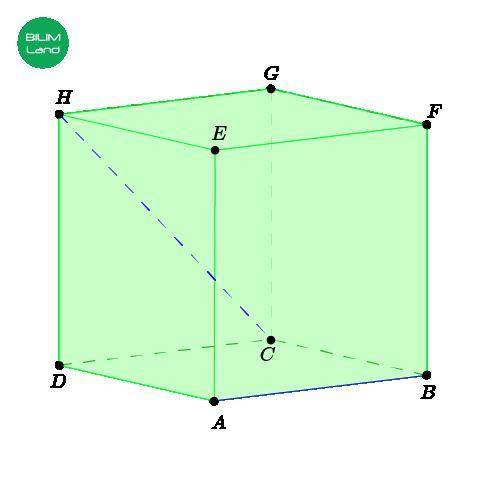На чертеже дан куб ABCDEFGH, длина ребра которого равна 1. Найди расстояние между скрещивающимися пр