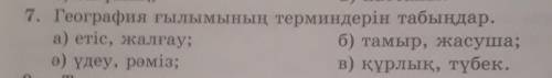 География ғылымының терминдерін табыңдар. а)етіс, жалғау; ә)үндеу, рәміз; б)тамыр, жасуша; в)құрлық,