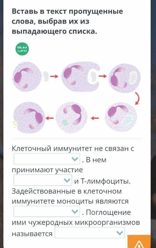 Какое явление выпадает из списка ежовщина