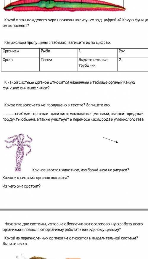 сделать 3 задание. ​(где таблица)