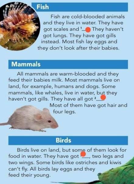 Vertebrates Vertebrates are shimals with backbones. The followinggroups are the different types of v