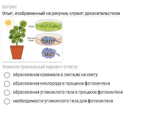 Опыт, изображенный на рисунке, служит доказательством