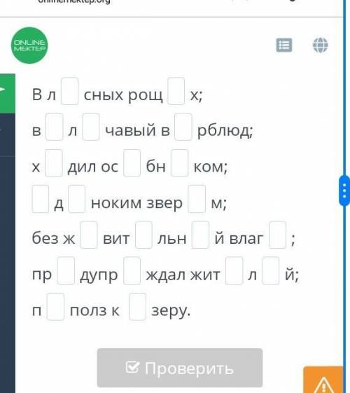 Пиши грамотно вставляя пропущенные буквы 4 класс​