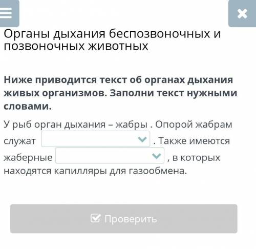 Ниже приводится текст об органах дыхания живых организмов. Заполни текст нужными словами. Online mek