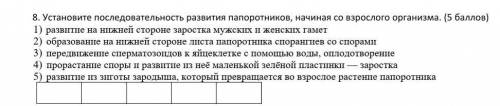 Установите последовательность развития папоротников начиная со взрослого организма​