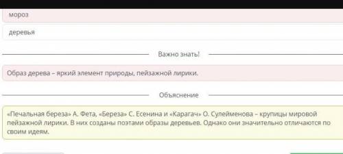 Образ природы каторому посвящёны стихотворения С .Есенина , А.Фета, О.Сулейменова-это Блим Ленд​