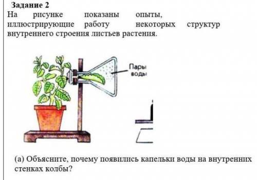 На рисунке показаны опыты, иллюстрирующие работу некоторых структур внутреннего строения листьев рас