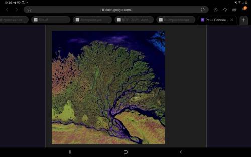 Дельта какой реки изображена на фото?