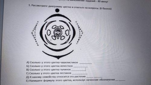 БИОЛОГИЯ 1 ЗАДАНИЕ Выполните как можно скорее заранее