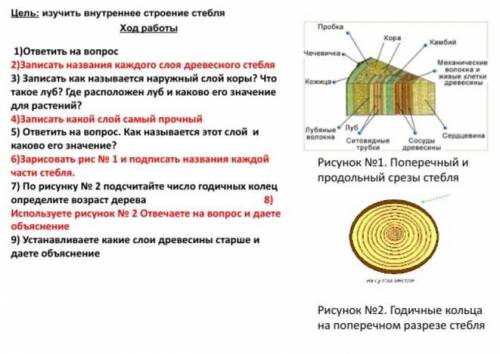 с заданиями нужно Поставлю 5 звезд+лайк денег нема но