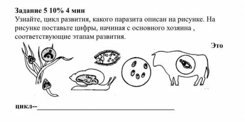 Узнайте, цикл развития, какого паразита описан на рисунке. На рисунке поставьте цифры, начиная с осн