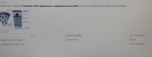 ОЧЕНЬ!БиологияЗаполните ячейку где написано однодольные растения!​