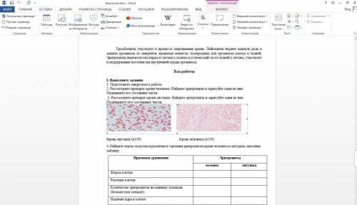 СДЕЛАТЬ РАБОРАТОРНУЮ РАБОТУ ПО БИОЛОГИИ.