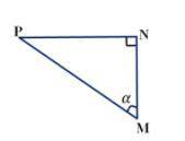 Для нахождения катета Δ M N P справедлива формула: Укажите правильный вариант ответа: NP= tgα MN ​ M