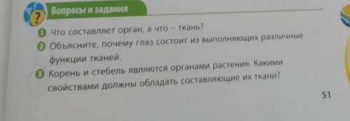 ответьте на вопросы Как можно скорее.​