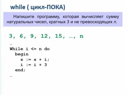 Информатика 8 класс. Програмир.